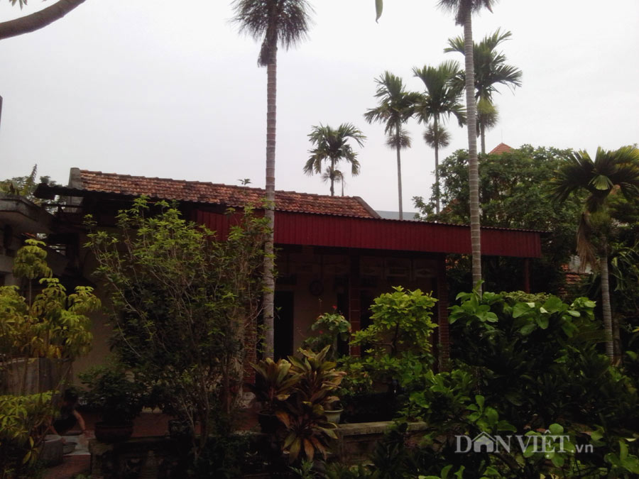 “Trước cau, sau chuối” trong kiến trúc phong thủy nhà truyền thống - 2