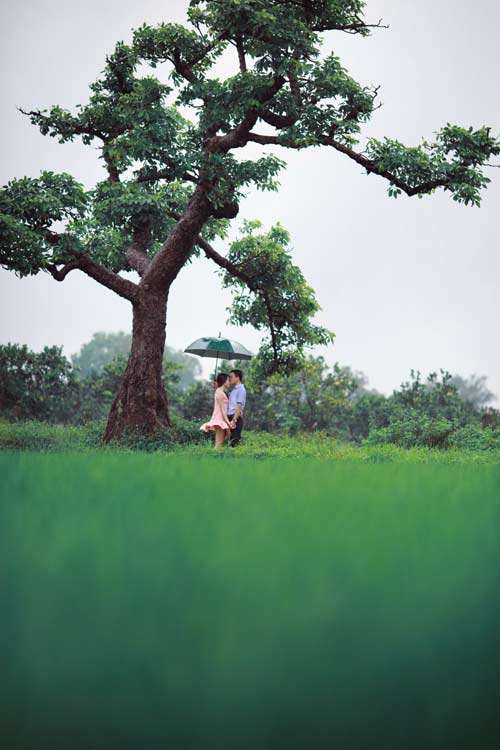 Đẹp say lòng bộ ảnh cưới mùa mưa bão - 12