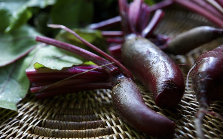 Vườn nhà 2000m2 trồng đủ loài cây thảo mộc - 10