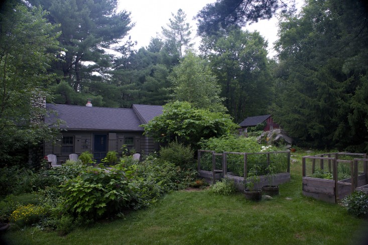 Vườn nhà 2000m2 trồng đủ loài cây thảo mộc - 1