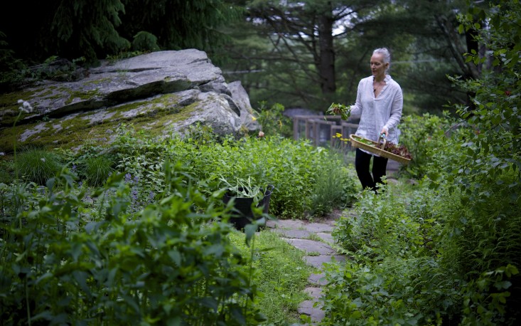 Vườn nhà 2000m2 trồng đủ loài cây thảo mộc - 13