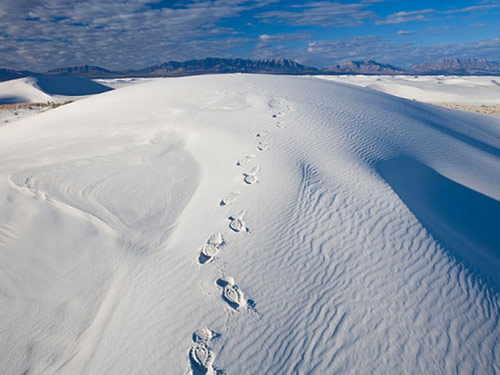 Nhường nước cho con, bố mẹ chết khát trên sa mạc - 2