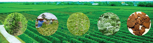 Sắc Ngọc Khang và Finomas khẳng định không chứa paraben - 2
