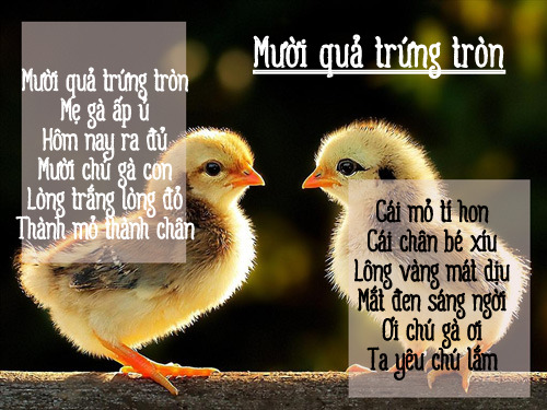 Thơ hay cho con líu lo cả ngày - 3