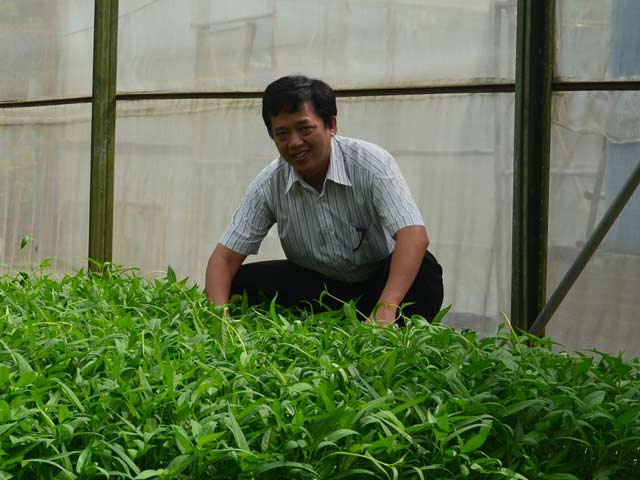 Bác sĩ mê làm... rau sạch - 1