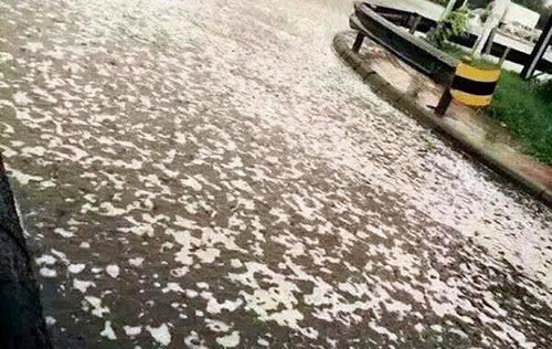 Mưa tạo bọt trắng trút xuống phố ở Thiên Tân sau vụ nổ - 1