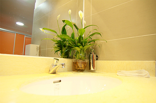 Cận cảnh nhà vệ sinh quot;5 saoquot; ở Hà Nội - 2