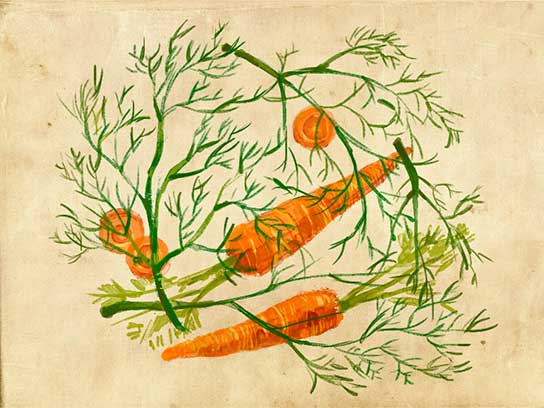 7 cây gia vị thúc cà chua, dưa chuột lớn nhanh hơn - 1