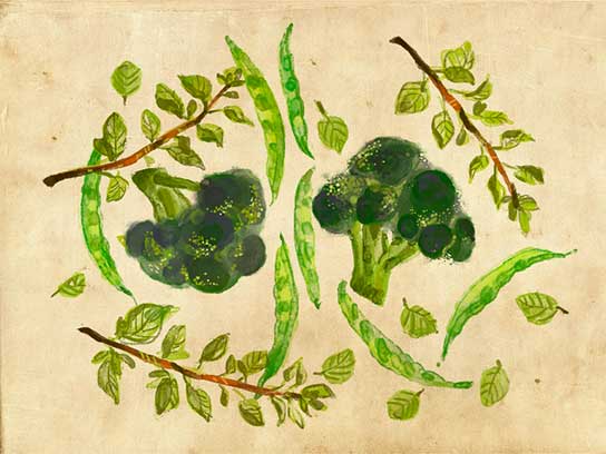 7 cây gia vị thúc cà chua, dưa chuột lớn nhanh hơn - 4