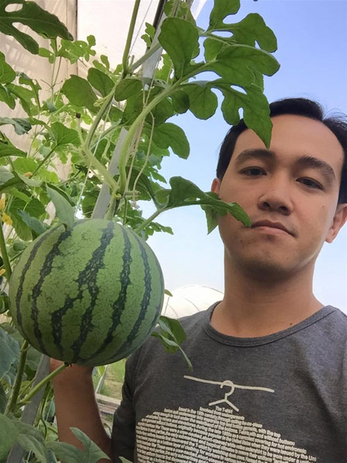 Cách trồng dưa lưới không cần đất lúc lỉu cả giàn - 20