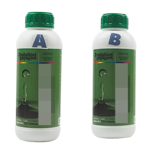 Cách trồng dưa lưới không cần đất lúc lỉu cả giàn - 4