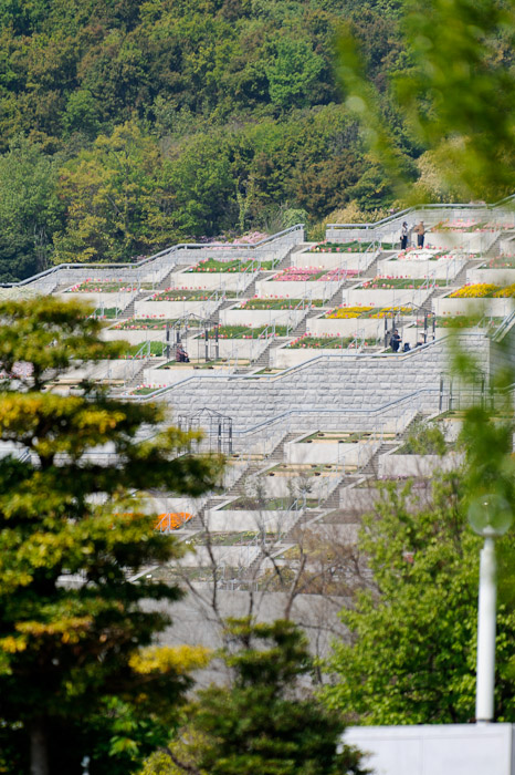 Sững sờ vườn trăm bậc dựa lưng vào núi, hướng mặt ra biển - 5