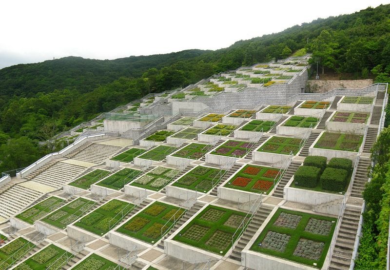 Sững sờ vườn trăm bậc dựa lưng vào núi, hướng mặt ra biển - 6