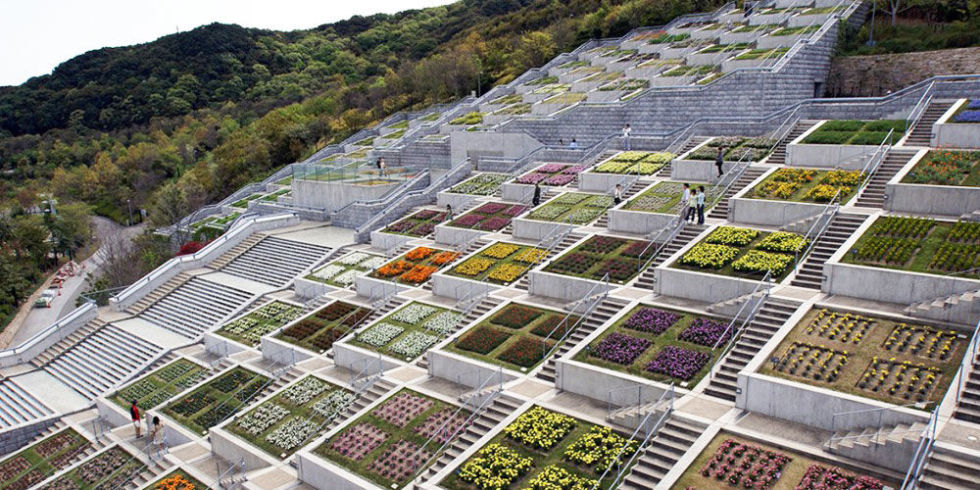 Sững sờ vườn trăm bậc dựa lưng vào núi, hướng mặt ra biển - 1