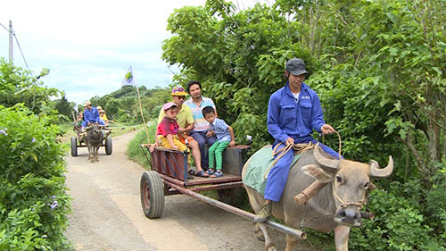 Tập 11 Bố ơi mùa 2: Trải nghiệm cho bò ăn cỏ ở cao nguyên Mộc Châu - 1