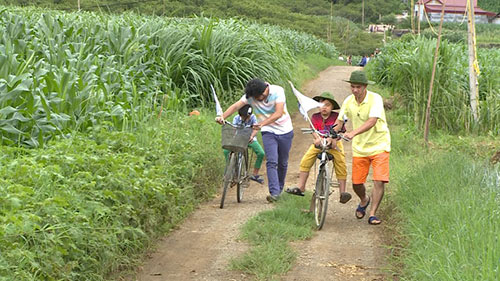 Tập 11 Bố ơi mùa 2: Trải nghiệm cho bò ăn cỏ ở cao nguyên Mộc Châu - 4