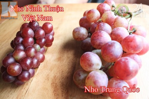 Cách phân biệt nho Trung Quốc và nho Mỹ, nho Ninh Thuận - 2