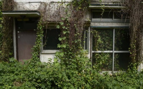 Nhà rẻ như cho, người Nhật Bản không màng - 5