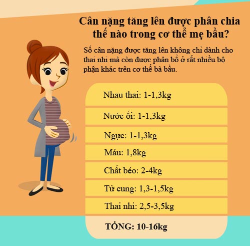 Chuẩn cân nặng cần tăng khi mang bầu - 4