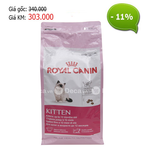 Các sản phẩm thức ăn, đồ chơi dành cho thú cưng của bạn - 4