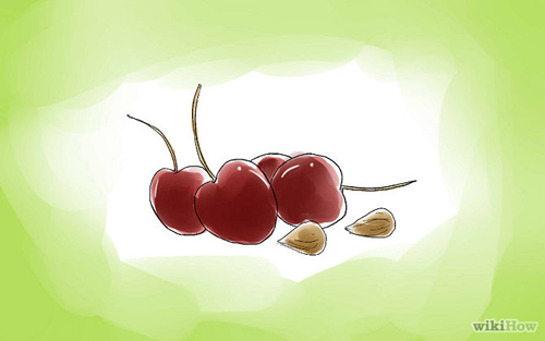 Mách bạn cách trồng cherry sai trĩu quả tại nhà - 3
