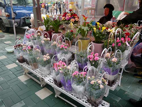 “Ngó” phong tục báo hiếu cha mẹ mùa Vu Lan ở các quốc gia - 3