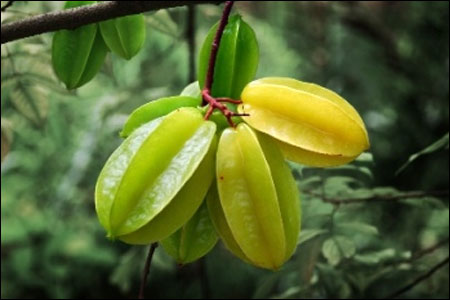 Cách chữa nhiệt miệng đơn giản mà hiệu quả nhất - 4