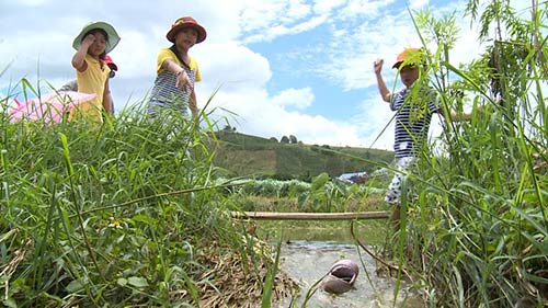 Tập 12 Bố ơi mùa 2: Xuân Bắc dạy quot;trai phốquot; Đỗ Minh làm diều - 7