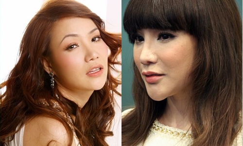 Những mỹ nhân Việt - Hoa #039;dính#039; nghi án độn cằm quá đà - 1
