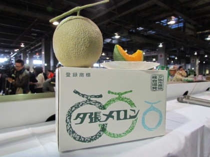 Tại sao dưa lưới Nhật Bản có giá đắt bằng chiếc xe hơi? - 1