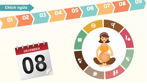 Những điều mẹ bầu cần nhớ để hoàn thành tốt nhiệm vụ - 3