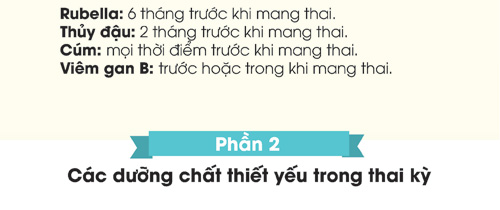 Những điều mẹ bầu cần nhớ để hoàn thành tốt nhiệm vụ - 4