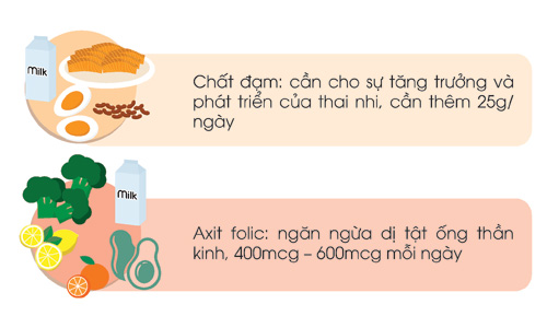 Những điều mẹ bầu cần nhớ để hoàn thành tốt nhiệm vụ - 5