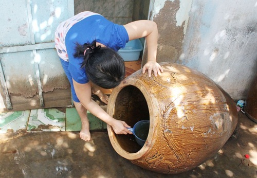 Cảnh báo muỗi “nhà vua” gây bệnh sốt xuất huyết - 2