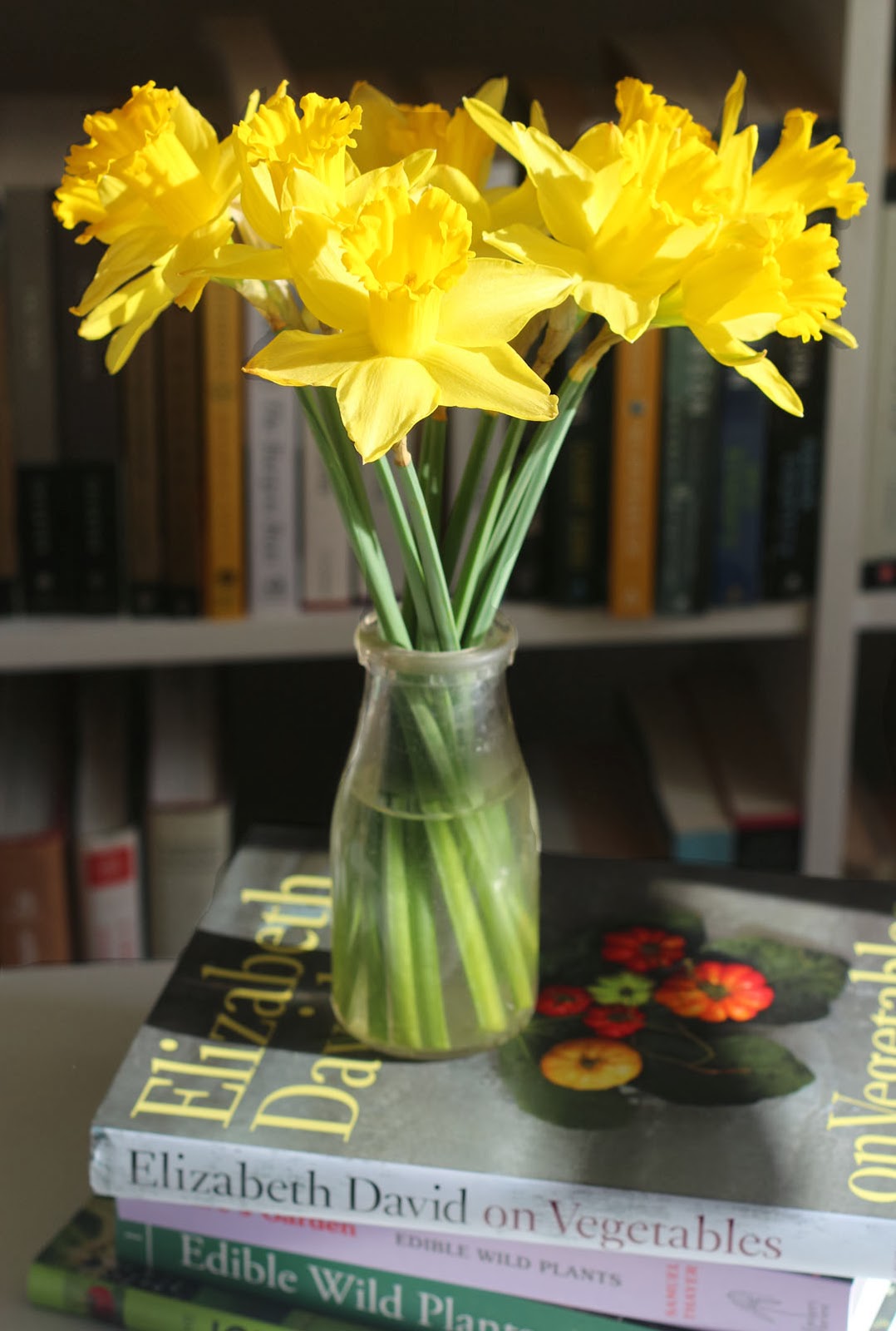 Nửa năm biến vườn không bỗng ngập tràn cây thơm trái ngọt - 5