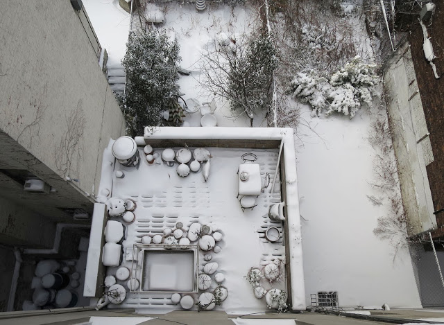 Nửa năm biến vườn không bỗng ngập tràn cây thơm trái ngọt - 1