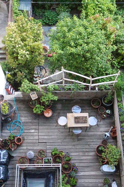 Nửa năm biến vườn không bỗng ngập tràn cây thơm trái ngọt - 8