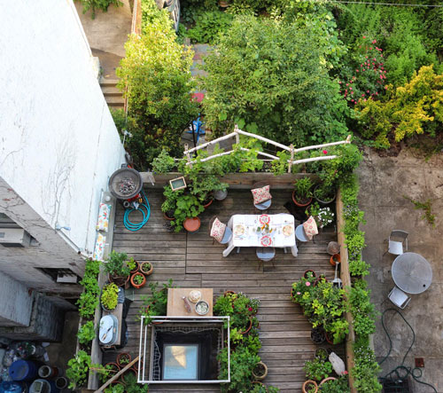 Nửa năm biến vườn không bỗng ngập tràn cây thơm trái ngọt - 16