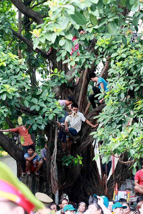 Muôn kiểu xem diễu binh ngày Quốc khánh - 11