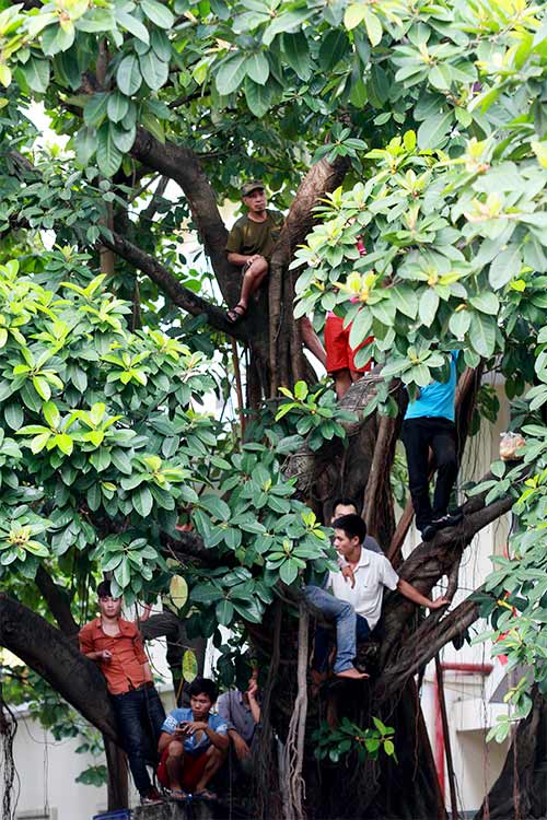 Muôn kiểu xem diễu binh ngày Quốc khánh - 13