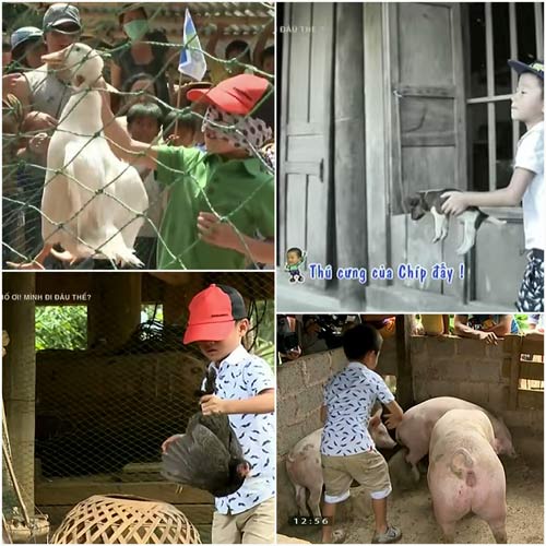 Đi tìm em bé hot nhất “Bố ơi mình đi đâu thế” mùa 2 - 10