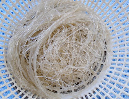 Ăn sáng ngon tuyệt với miến đùi gà - 3