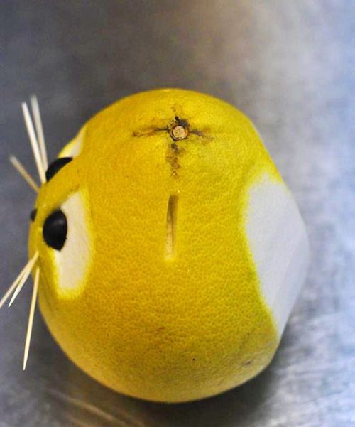 Tạo hình thỏ đáng yêu từ bưởi cho bé dịp Tết Trung thu - 11