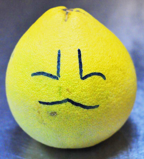 Tạo hình thỏ đáng yêu từ bưởi cho bé dịp Tết Trung thu - 1