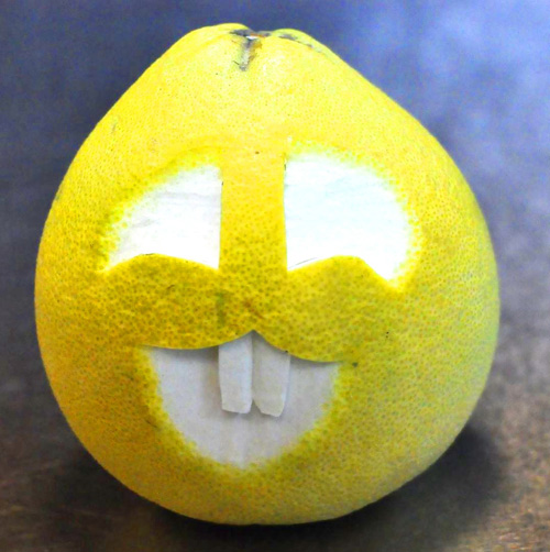 Tạo hình thỏ đáng yêu từ bưởi cho bé dịp Tết Trung thu - 3