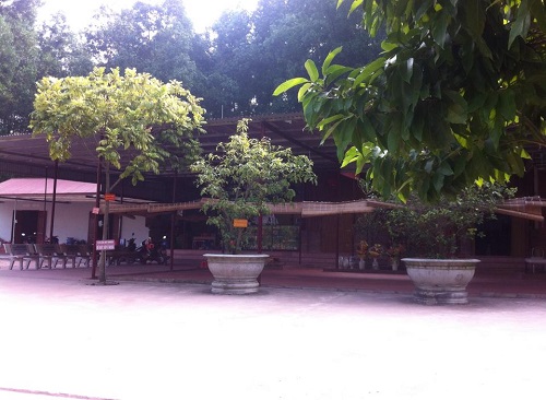 Thực hư chuyện quot;côquot; Phú giẫm lên người bệnh chữa ung thư - 5