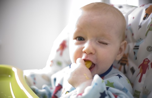 Video tập cho bé ăn dặm theo phương pháp tự chỉ huy - 1