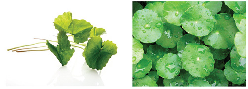 Điều trị sẹo đúng cách - 2