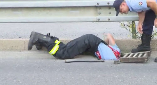 Cảnh sát Anh chui xuống cống giải cứu vịt con - 2