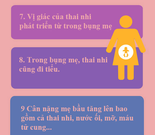 13 điều đáng ngạc nhiên về mẹ bầu và thai nhi - 3